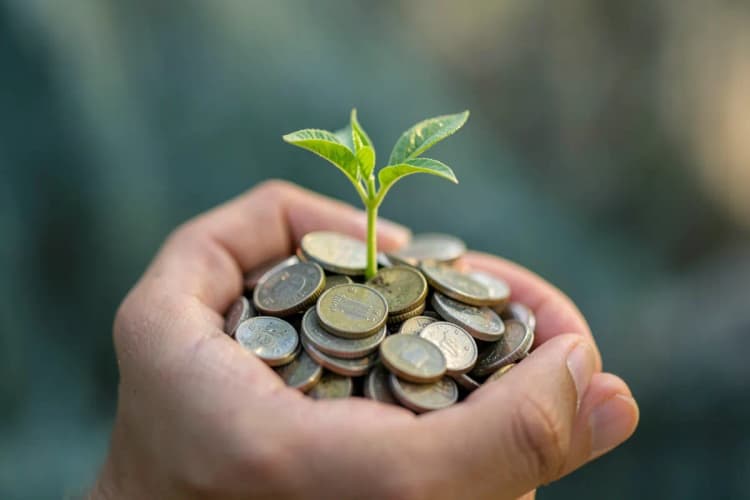 Uma mão segurando uma pequena planta crescendo de um punhado de moedas, representando o crescimento financeiro e a indenização.