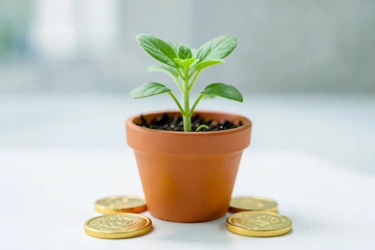 Uma planta verde crescendo em uma pequena vaso de cerâmica, com moedas de ouro caindo suavemente ao redor.