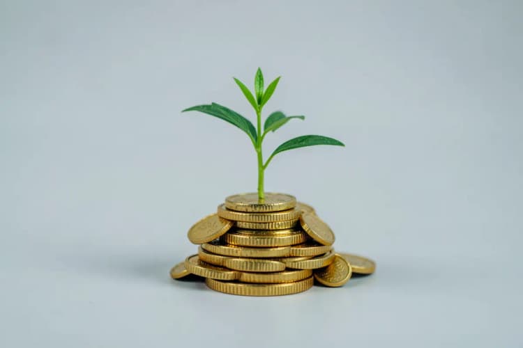 Uma planta crescendo em uma pilha de moedas de ouro.